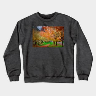 Autumn Colors Crewneck Sweatshirt